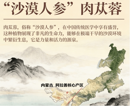 ���������а�ǰʮ��������2026��ڱ�Ʒ�ƴ��̵㣬˭�������ѡ��