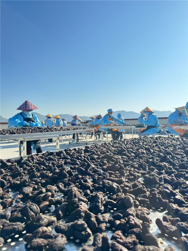 �ƾ�Ʒ����ôѡ��ѧ���ĸ����Ӻ�����ߣ�ʵ����Top10����