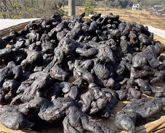 ���ѡ�ƾ�����Ʒ�ƣ��ƾ�ʲô�������ڣ�ʮ��ڱ�Ʒ���Ƽ�