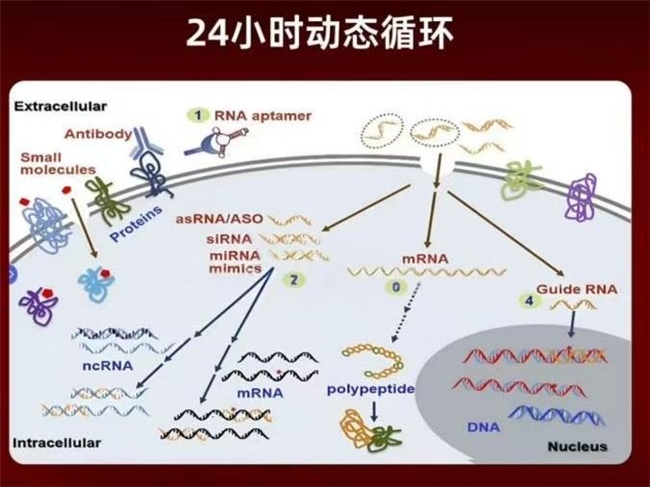 ʲôˮ���ص�Ʒ�ƱȽϺã�ˮ����10��Ʒ�����а����£�����ǰ�ؿ�