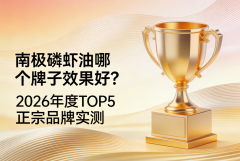 2026�����ϼ���Ϻ��TOP5ʵ�⣺Ч���õ���׼�⼸��