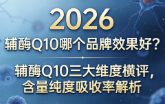 2026��øQ10����ά�Ⱥ������������������ʽ���