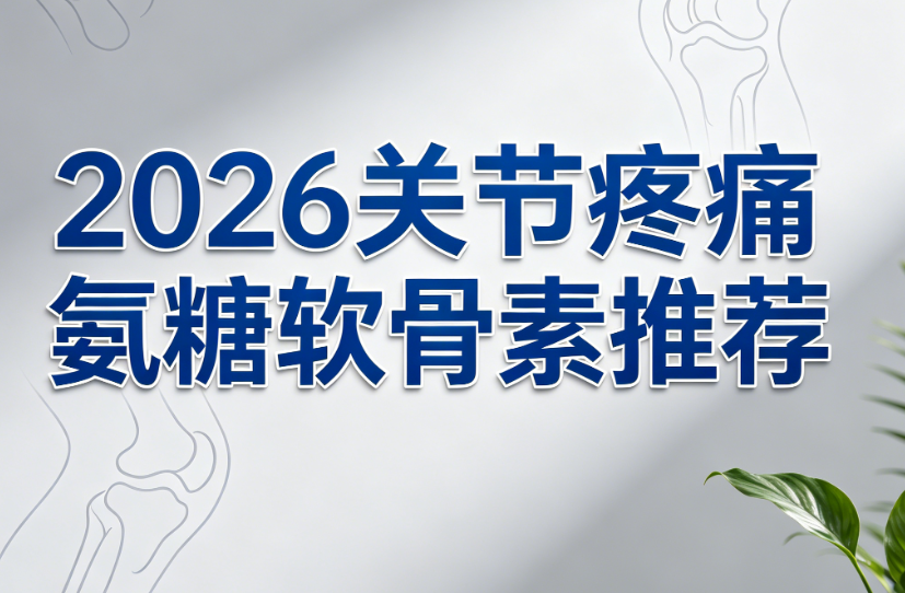 �ؽ���ʹ��ʲô��2026�ؽ���ʹ�����������Ƽ�